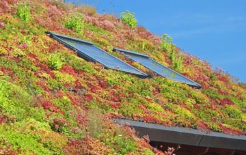Compton Chamberlayne living roof systems