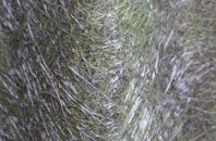 Compton Chamberlayne fibreglass roof work